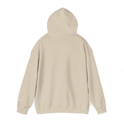 Almighty Attire Faith Over Fear Hoodie – Christian Inspirational Pullover