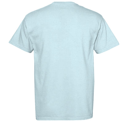 CHAMBRAY - C1717 - BACK